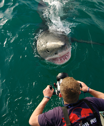 Behind the Scenes of Shark Week with Andy Casagrande